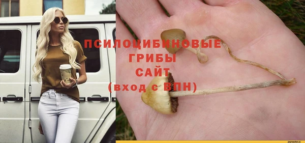 сатива Балахна