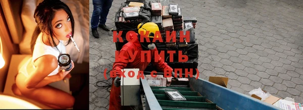 сатива Балахна